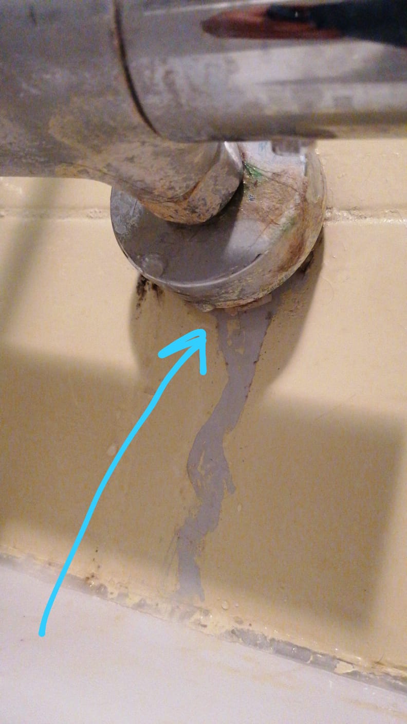 lekkage douchekraan Bleiswijk